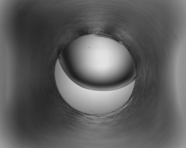 X0000089360041200706150832