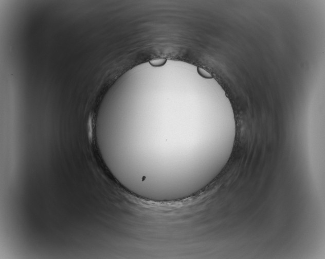 X0000089360042200706150832