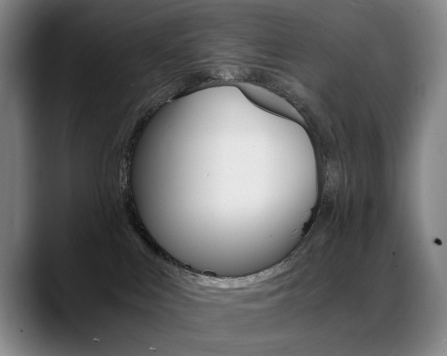 X0000089360043200706150832