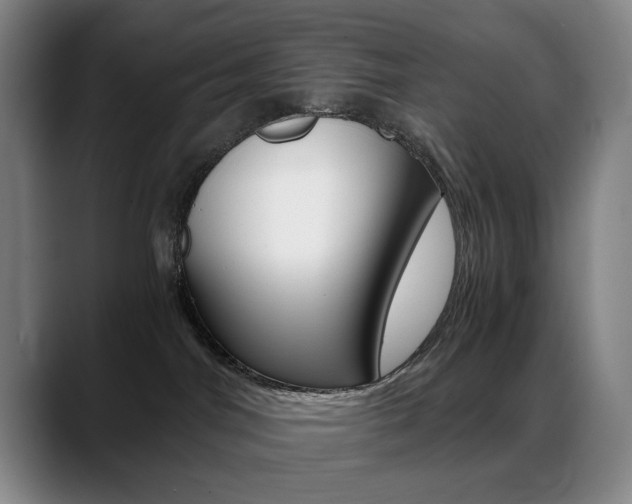 X0000089360044200706150832
