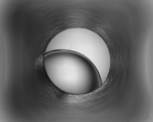 X0000089360045200706150832