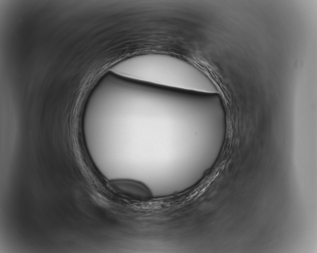 X0000089360049200706150831