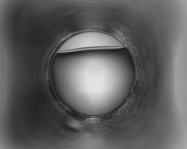 X0000089360050200706150831