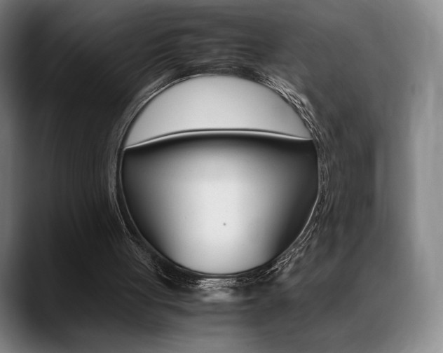 X0000089360051200706150831