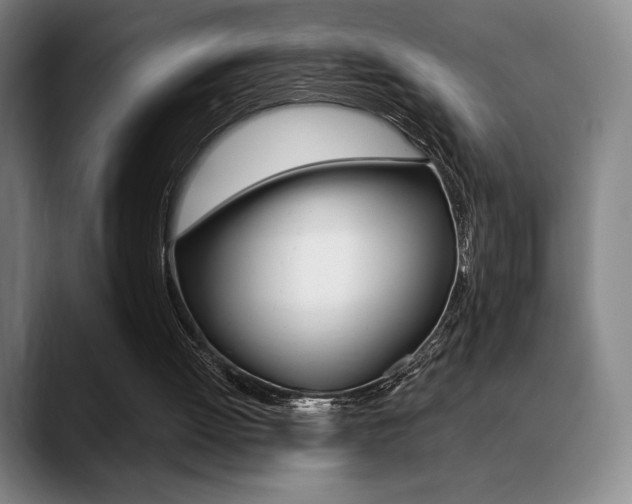 X0000089360052200706150831