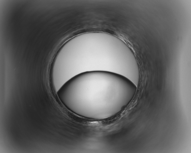 X0000089360053200706150831