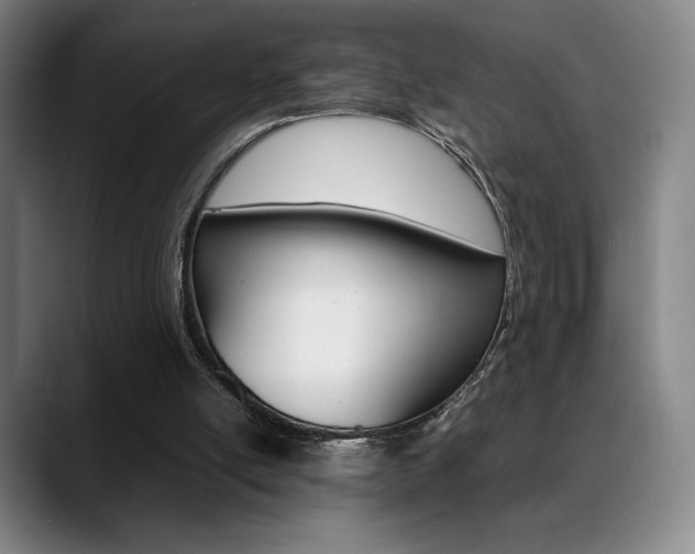 X0000089360054200706150831