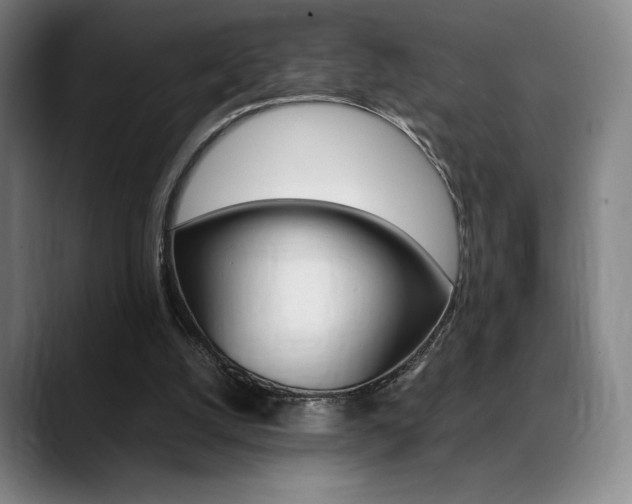 X0000089360056200706150831