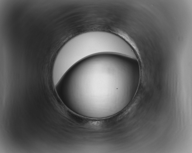 X0000089360057200706150831
