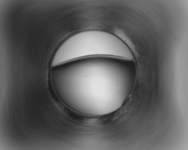 X0000089360058200706150831