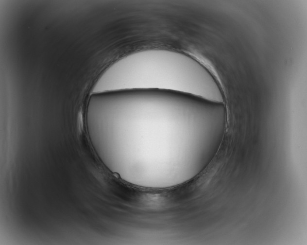 X0000089360061200706150831
