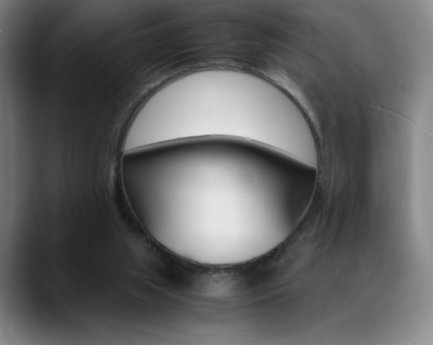 X0000089360063200706150831