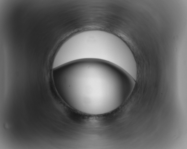 X0000089360064200706150831