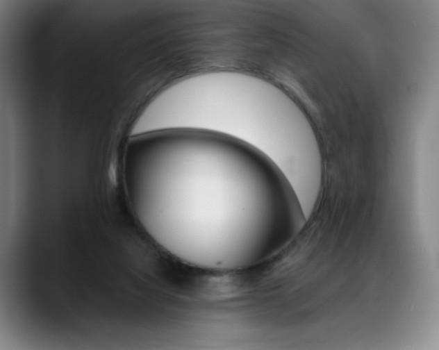 X0000089360068200706150831