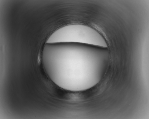 X0000089360069200706150831