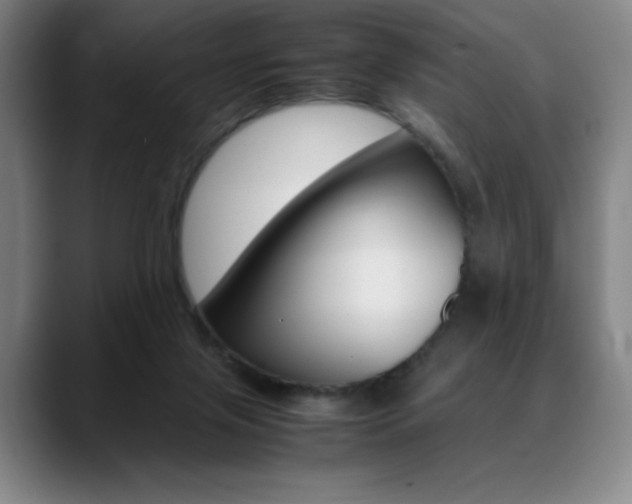 X0000089360071200706150831