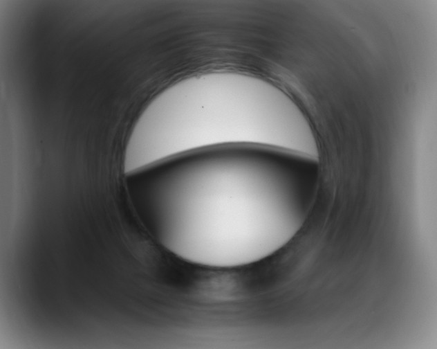 X0000089360073200706150831