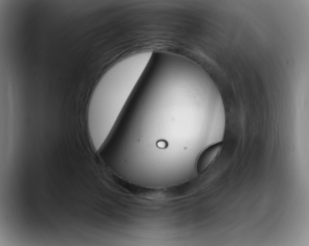 X0000089360075200706150831