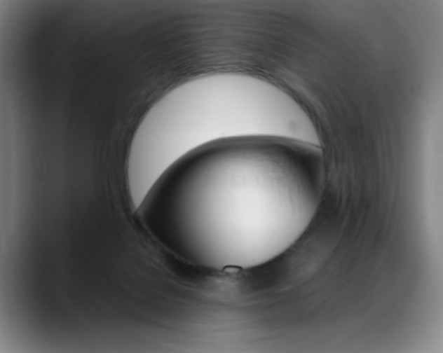 X0000089360076200706150831