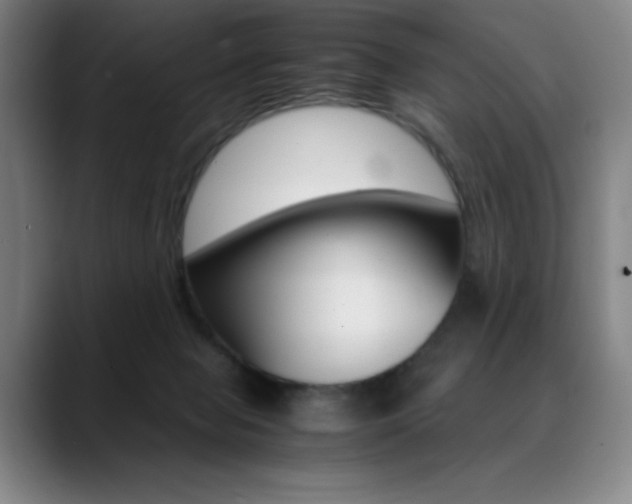 X0000089360077200706150831