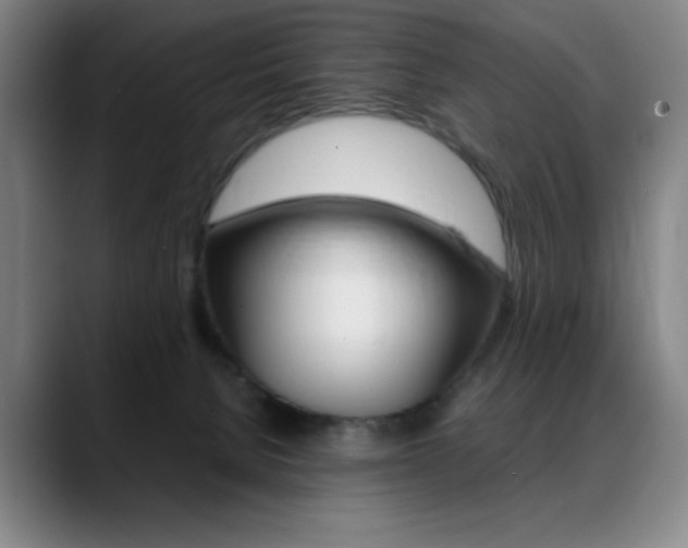 X0000089360080200706150832