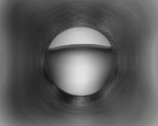 X0000089360083200706150832