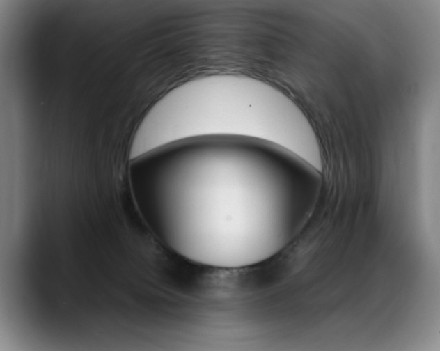 X0000089360084200706150832