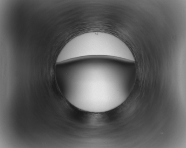 X0000089360085200706150832