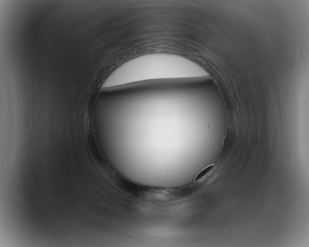 X0000089360086200706150832