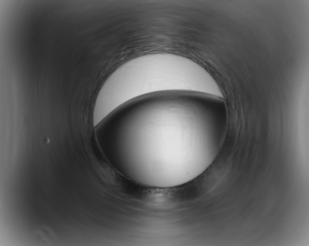 X0000089360088200706150832