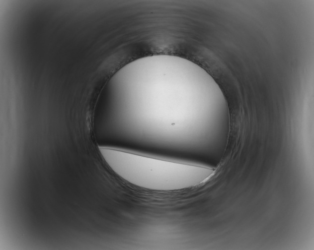 X0000089360090200706150832