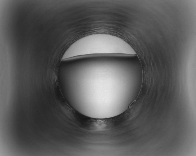 X0000089360091200706150832