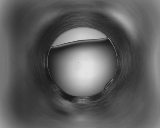 X0000089360093200706150832
