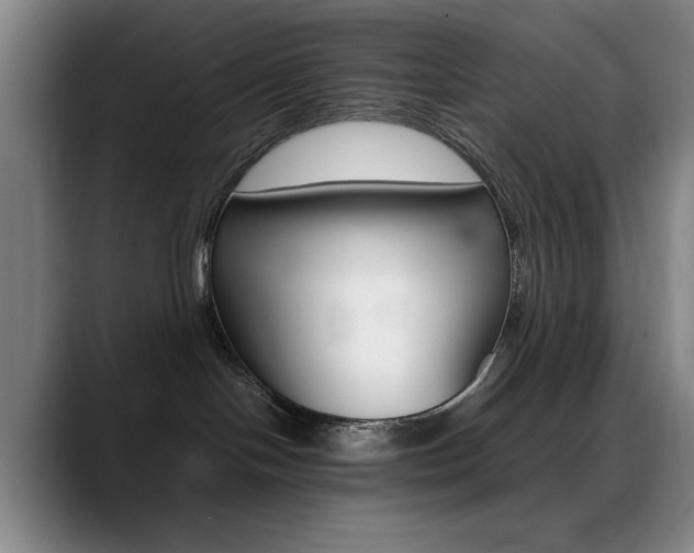 X0000089360094200706150832