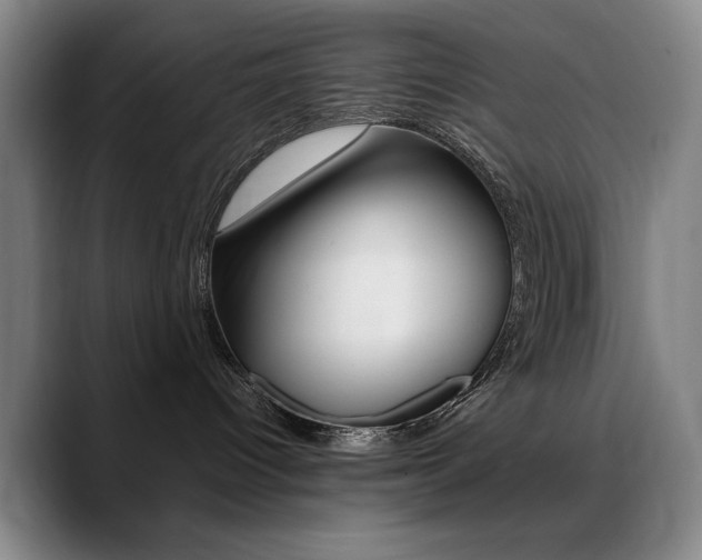 X0000089360096200706150832