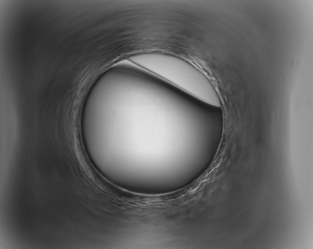 X0000089360097200706150831