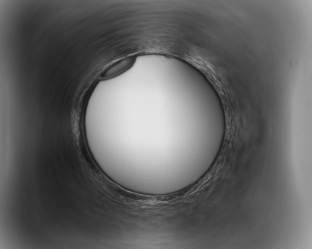 X0000089360098200706150831