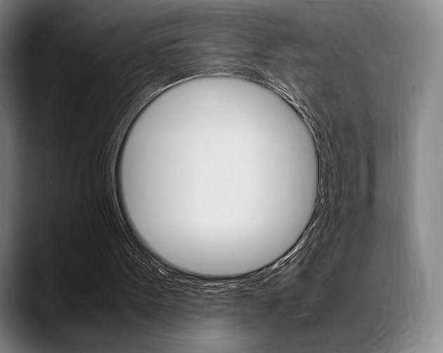 X0000089360099200706150831