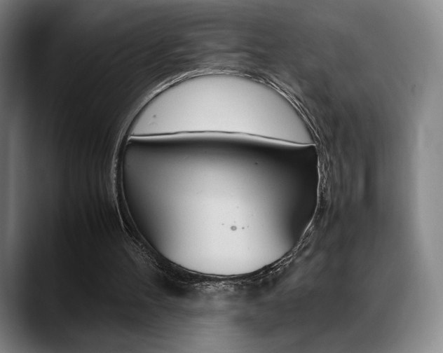 X0000089360100200706150831