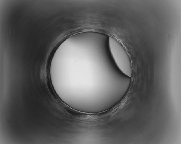 X0000089360102200706150831