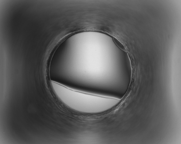 X0000089360103200706150831