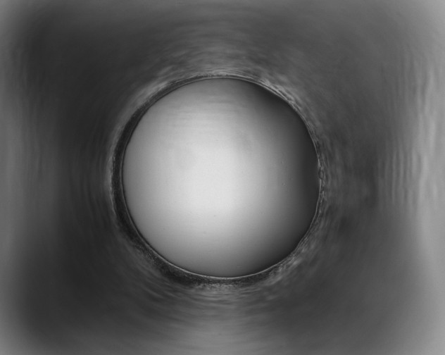 X0000089360104200706150831