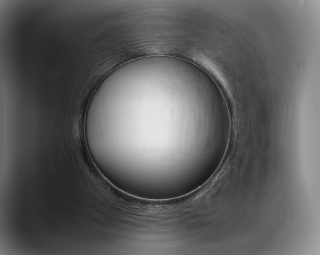 X0000089360105200706150831