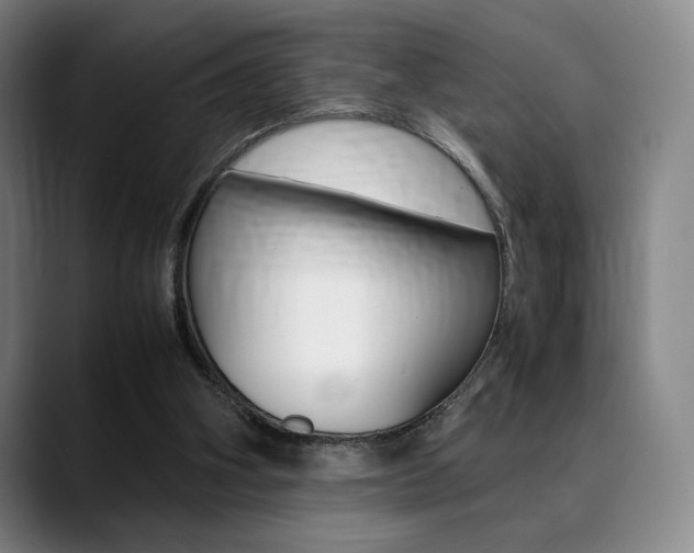 X0000089360106200706150831