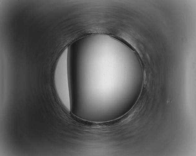 X0000089360109200706150831