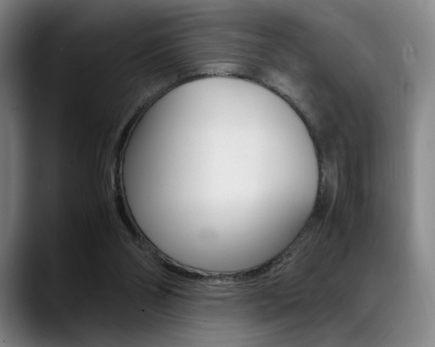 X0000089360110200706150831