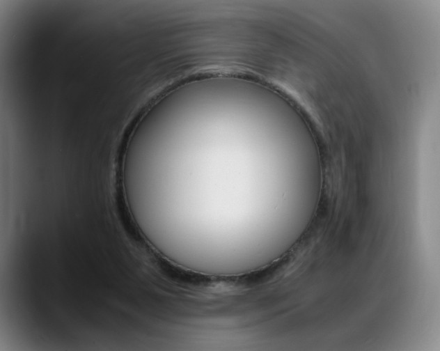 X0000089360111200706150831