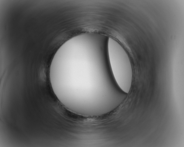 X0000089360114200706150831