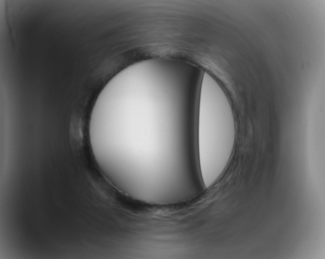 X0000089360115200706150831