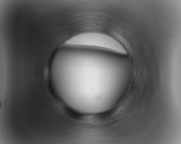 X0000089360117200706150831